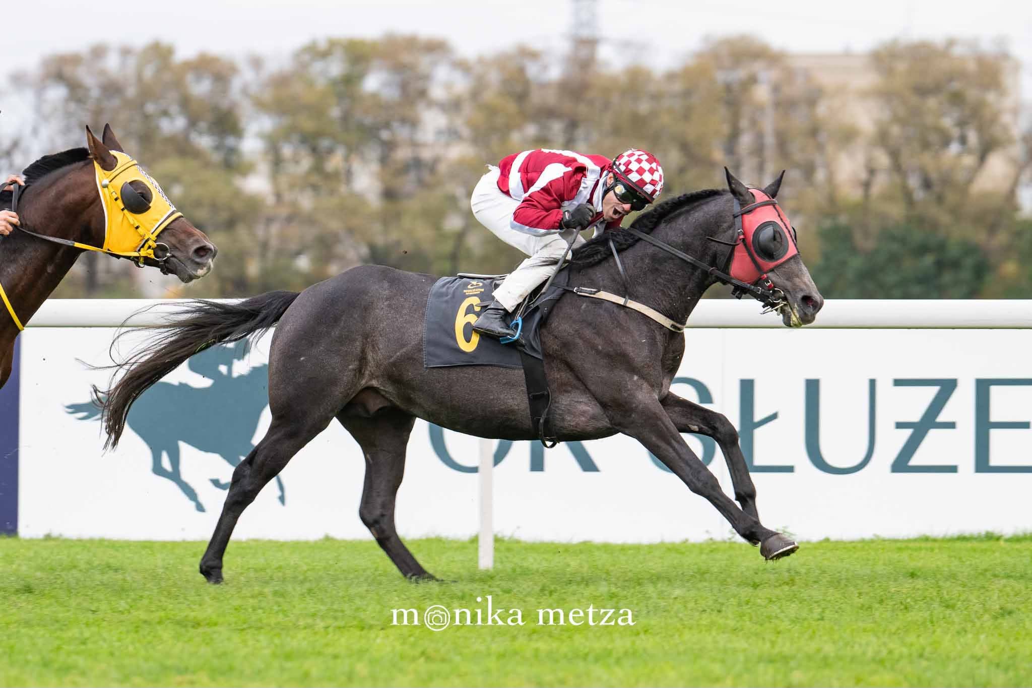 Nadav Ra triumfuje w Nagrodzie Batyskafa! 🏆🐎