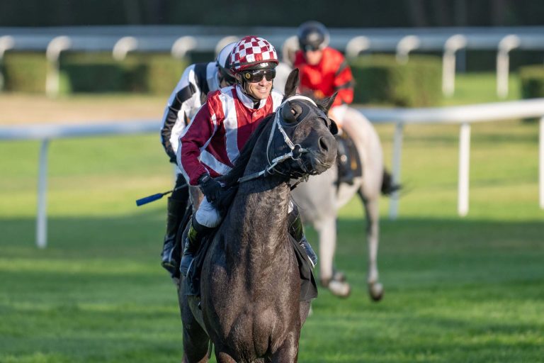 520278539_1332542875144632_5752188367440684266_n