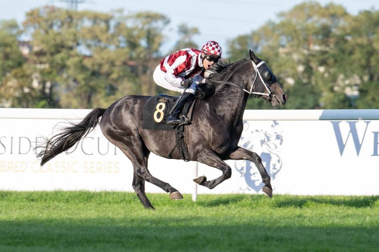 533759717_1332542901811296_6449141936401799130_n