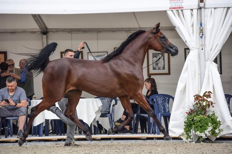 FB_IMG_1568025256449