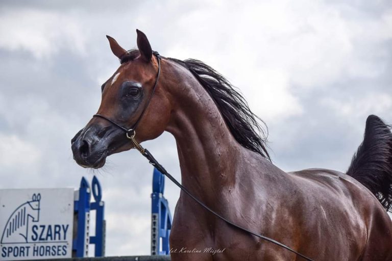 FB_IMG_1568025315082