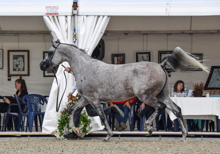 FB_IMG_1568025372890