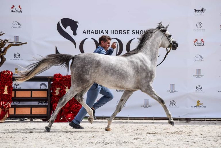 FB_IMG_1596137638735