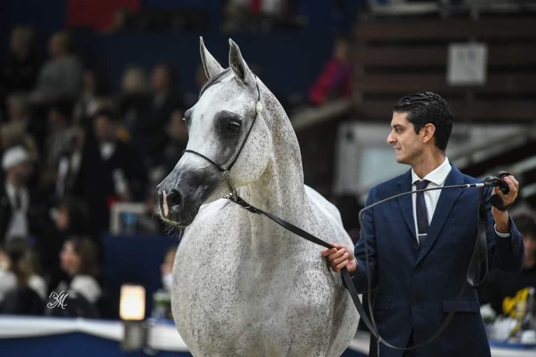 FB_IMG_1696155433180