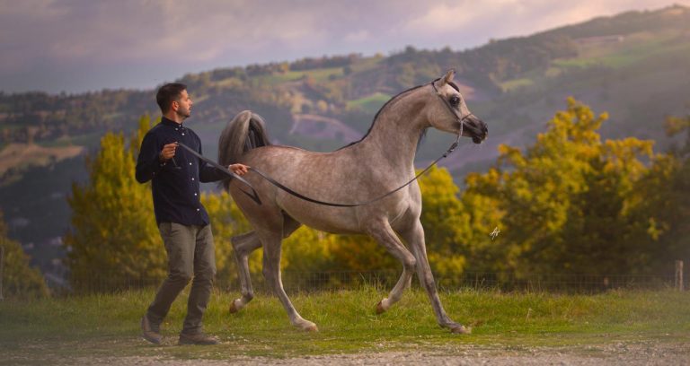 IMG-20251021-WA0019(1)