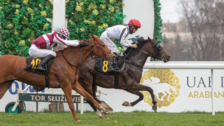 IMG-20251116-WA0000 (1)