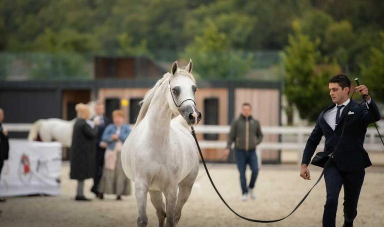 IMG_20210920_143305_328