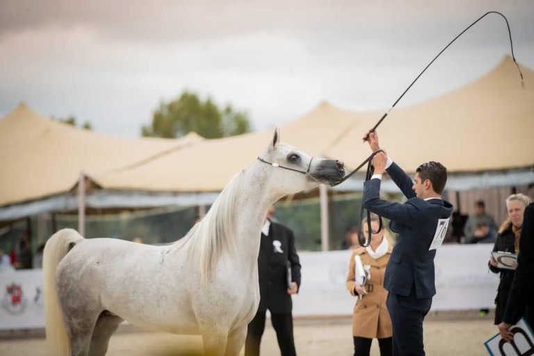 IMG_20210920_143313_794