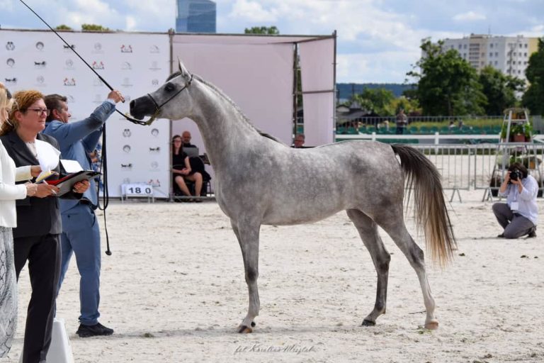 FB_IMG_1595779748524